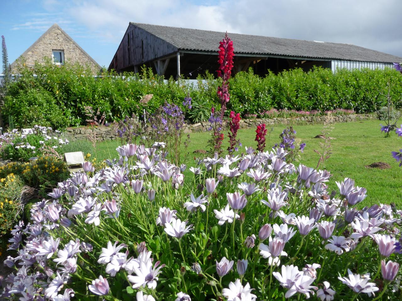 The guest house and the garden